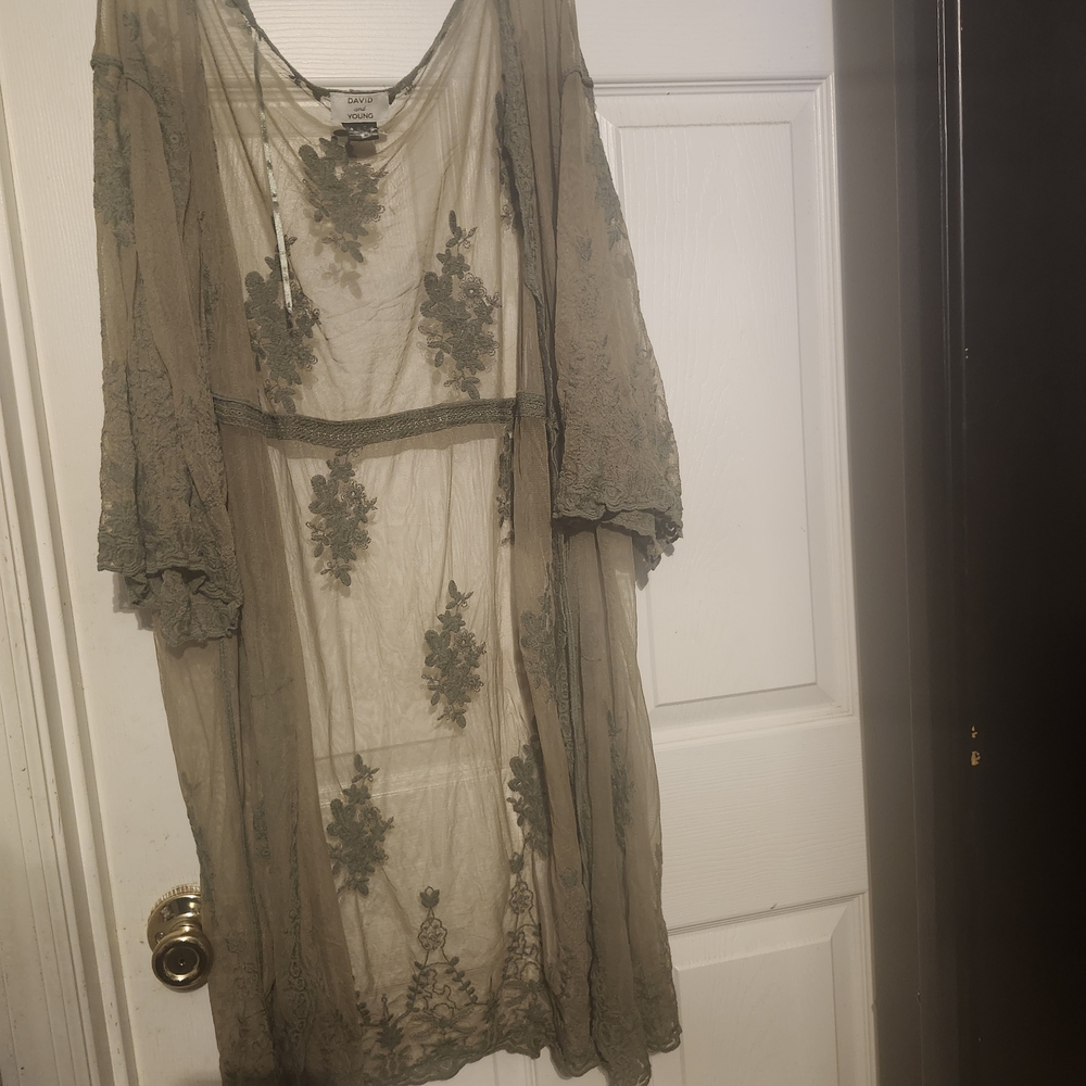 Sheer Olive Green Embroidered Dress